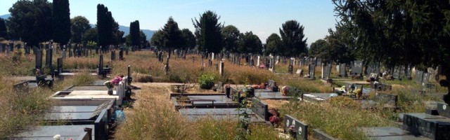Gradsko veće predložilo da "Gorica" održava zelenilo na grobljima, za šta je ranije platila privatniku