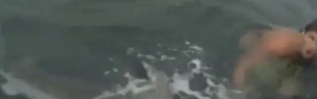 Australijanac jedva izvukao živu glavu nakon napada tigar ajkule