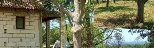 Prodaju se 2 vikendice na Fruškoj gori za top cenu: Lokacija san snova, bolja ponuda ne postoji