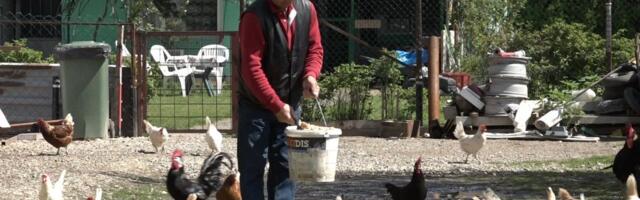 Da li ste čuli za "lamborgini koke"? Kad vidite koliko koštaju, biće vam jasno što ih tako zovu (VIDEO)