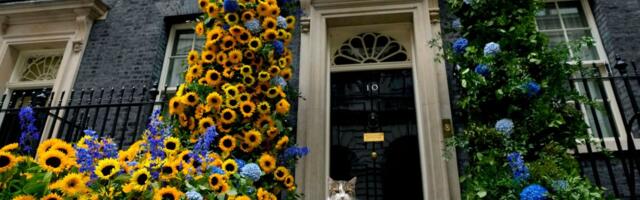 Mačak Lari prihvatio ostavku Starmera: Uskoro dobija sedmog premijera, nagovestio ko će to biti