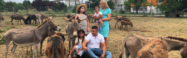 Donirajte 300 evra za lečenje dece i dobijate magarca: Neverovatan humani gest porodice Džakula sa farme "Mekani"