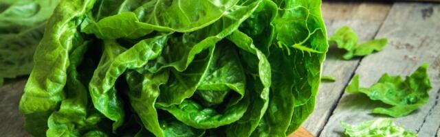 Trik koji je zadivio domaćice: Uz njega zelena salata ostaje SVEŽA i do 15 dana