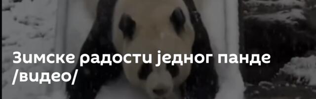 Зимске радости једног панде /видео/