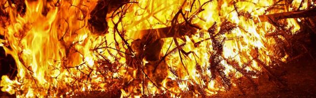 Tragedija u Petrovcu na Mlavi: Jedna osoba stradala u zapaljenom objektu