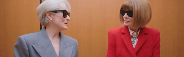 "Zar vas ne poznajem odnekud?": Susret Ane Vintur i Meril Strip i njihov razgovor je potpuni hit u svetu