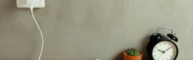 Veliki brat iz Padinjaka