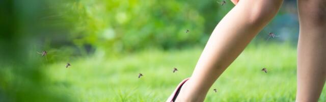 Otkud komarci napadaju baš vas?