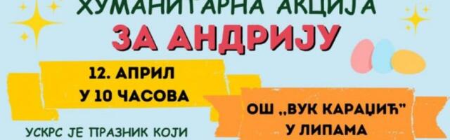 POMOĆ BOLESNOM VRŠNjAKU: Humanitarni bazar u osnovnoj školi u smereveskom selu Lipe