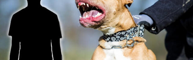 PAS IZUJEDAO DETE (3) PO LICU! Potpuni užas u kafiću na Mirijevu - EVO ŠTA JE PRETHODILO NAPADU!