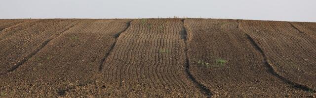 FAO ukazuje: Zdravo zemljište u gradovima povećava otpornost na klimatske šokove