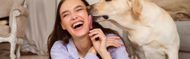 5 rasa pasa koje se ponašaju kao ljudi: Razumevaju vas i primećuju kad nešto nije u redu (FOTO)