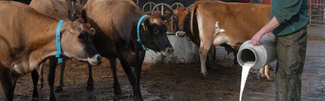 Ирски пољопривредници на улицама због споразума ЕУ са Меркосуром