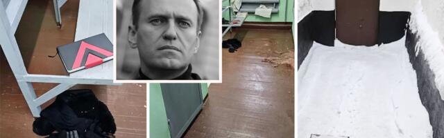 "Parališe mišiće i srce, ljudi umiru za 10 minuta": Ovako deluje otrov streličaste žabe, ubio je Navaljnog?