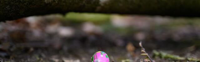 Bebina kolica zdrobilo drvo, majka ostala na mestu mrtva: Detalji užasa na Uskrs, bore se za život devojke