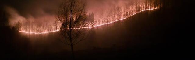 BUKTE ŠUMSKI POŽARI KOD BIJELOG POLJA: Vatra pretila da zahvati i objekte, vatrogasci-spasioci u borbi sa stihijom! Od srede na terenu i mobilni tim (FOTO)