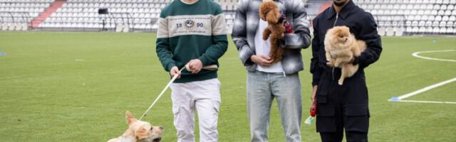"Upoznajte Hazel, Tobi i Nalu": Akcija Železničara iz Pančeva povodom dana kućnih ljubimaca