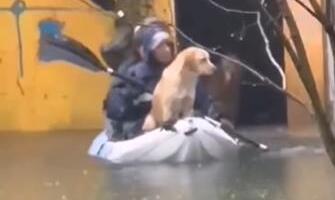 Devojke spasile pse od poplave u Blacama: Bez razmišljanja uzele stvar u svoje ruke, Balkanci oduševljeni (VIDEO)