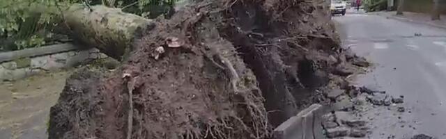 Jako nevreme pogodilo Zagreb, povređene tri osobe