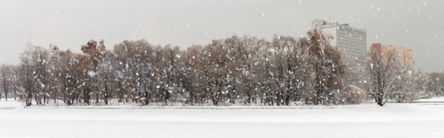 Hteli sneg da bude NELEGALAN: Zanimljivosti o pahuljama