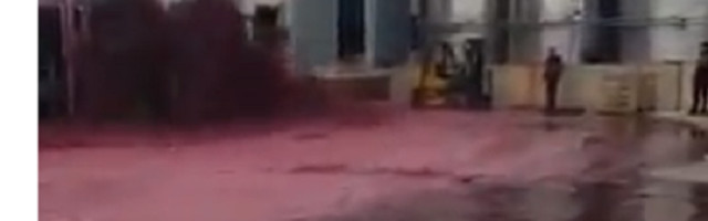 Evo kako izgleda kada se izlije 50.000 litara vina (VIDEO)