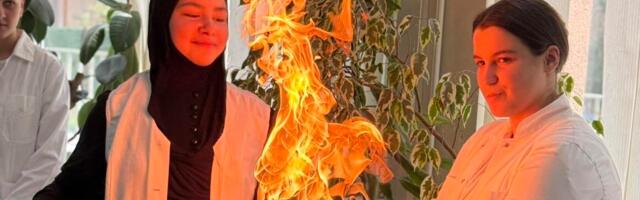 Održan “Festival hemije” u OŠ Avdo Međedović