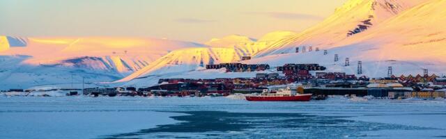 Neobičan grad iz snova ili košmar: Ovde su mačke i smrt tabu