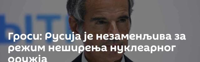 Гроси: Русија је незаменљива за режим неширења нуклеарног оружја