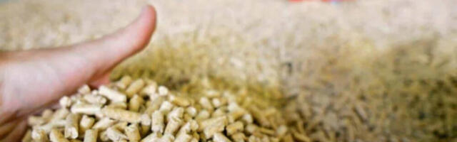 Profesor Glavonjić savetuje: Pelet kupujte na vreme i tokom cele godine da biste uštedeli