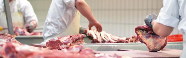 Nemačka vapi za ovim radnicima: Broj zaposlenih pao za 40 odsto, još 2024. se znalo šta će se desiti