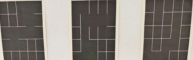 У сусрет белој линији