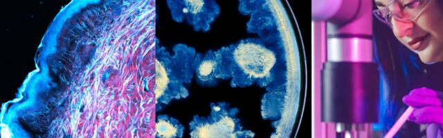 Strateško partnerstvo L’ORÉAL Grupe i Pasterovog instituta: Budućnost nauke o zdravlju kože