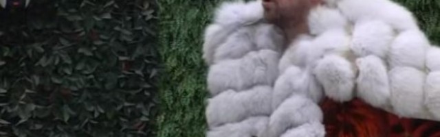 (VIDEO) Bog me je SPASAO! JANJUŠ MAJU I ČORBU ISPROZIVAO! A onda progovorio koju bi ZADRUGARKU OŽENIO!