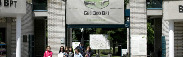 Muja je najstariji primerak svoje vrste na svetu i živi u beogradskom Zoo vrtu!
