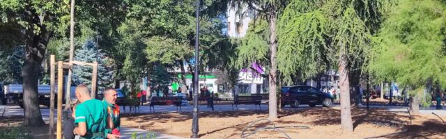 JKP Mediana: Postavljanje sistema za polivanje i sadnja sadnica na Trgu Kralja Aleksandra