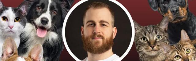 Predstavljamo vam Pet Alert – aplikaciju koja pronalazi izgubljene ljubimce u Srbiji!