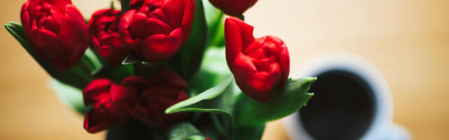 Dnevni horoskop za 15. april: Ovnovi imaju višak energije, Vage očekuje harmoničan dan