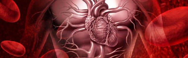 Želite da popravite cirkulaciju? Koristite ove namirnice