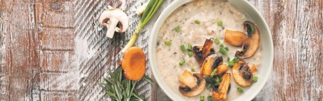 SAVRŠENO predjelo ili VEČERA! KREM ČORBA od ŠAMPINJONA i vrganja!