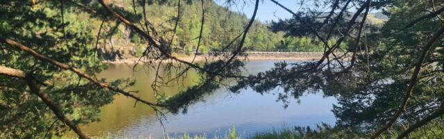 Najčistiji vazduh u Srbiji: Zašto Divčibare postaju nova adresa za reset