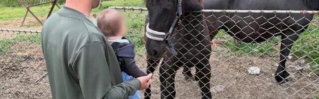 Fanovi oduševljeni prizorom: Glumac uči sina seoskim poslovima od malih nogu, ovaj prizor raznežio je sve