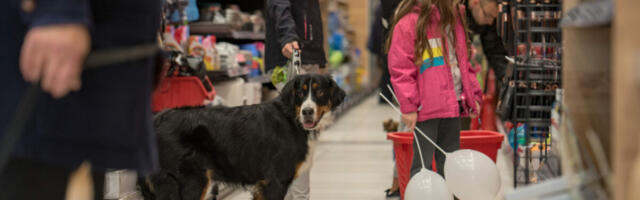Pet Network International preuzima Pet Republic Group