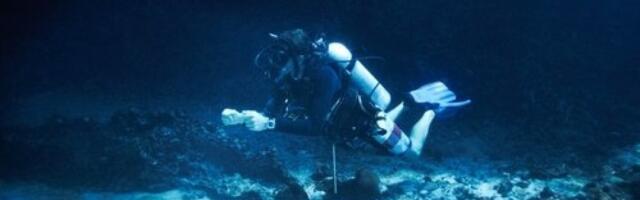 Izvlačenje blaga sa dna mora šokiralo naučnike: Evo i zašto