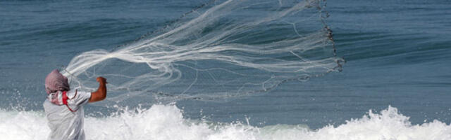 Рибљи фонд Медитерана и Црног мора се опоравља, али се 52 одсто врста и даље прекомерно лови