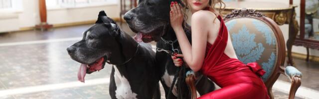 Maltezer traži maženje, šiba inu drži distancu: Kako različite RASE pokazuju ljubav i naklonost vlasniku