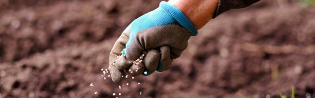 Poljoprivrednici Srbije: Mineralnih đubriva ima dovoljno, ali je skupo i rastu troškovi proizvodnje