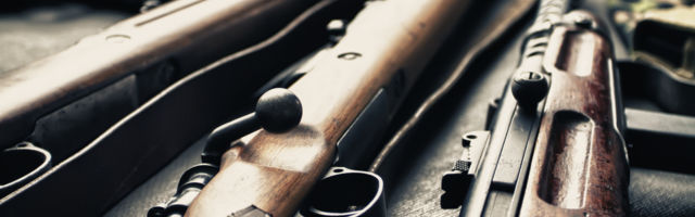 Odjeci Timočke bune – oružje slobode