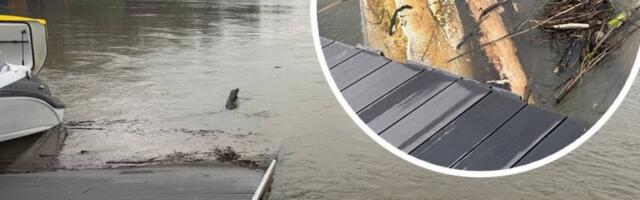 AVION JE STRUJA POČELA DA NOSI, A ONDA JE UPAO! Evo šta se STVARNO dogodilo na Savi kod naselja Progar! (FOTO, VIDEO)