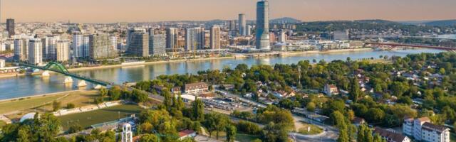 Zemunski leopard hara beogradskim asfaltom: "Divlja maca" uslikana u naselju (FOTO)