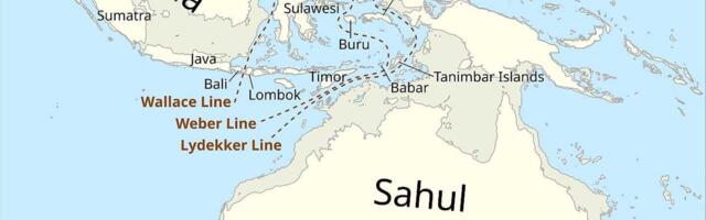 Ljudi su stigli u Australiju pre 60.000 godina, otkriva novo DNK istraživanje